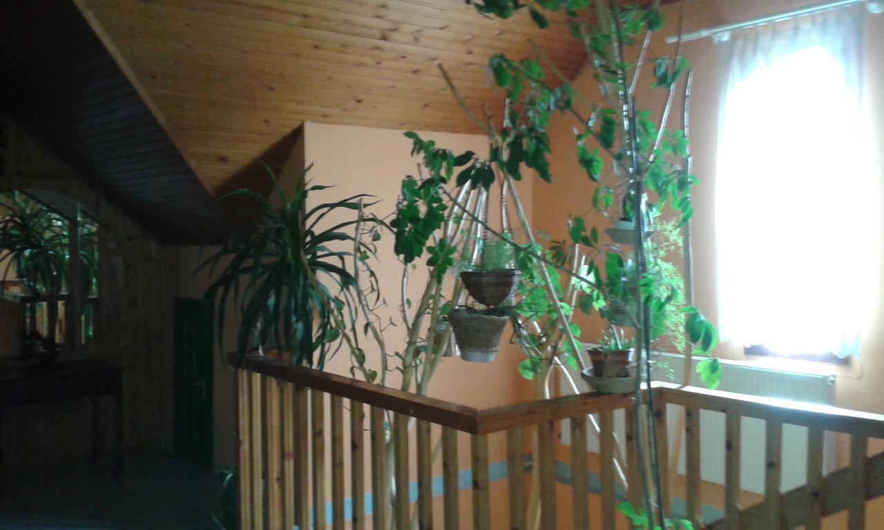 Kisdiofa Panzio Es Vendeglo Bed & Breakfast Vajdacska Bagian luar foto